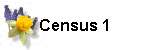 Census 1